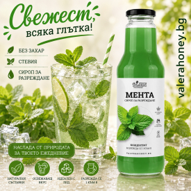 Сироп за разреждане Мента 750 мл.
