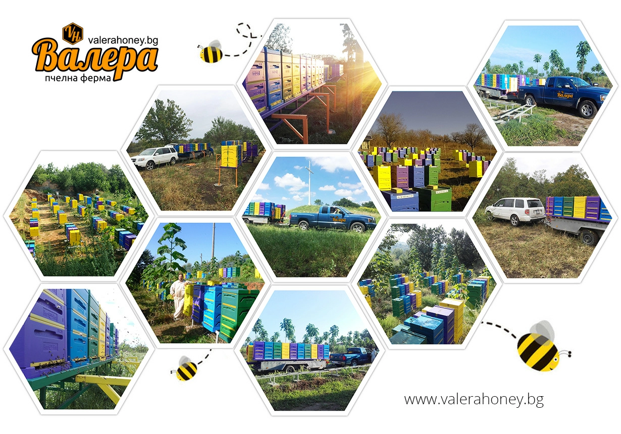 Пчелна Ферма Валера